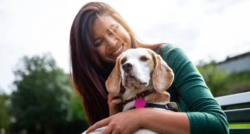 The Benefits of Adopting a Senior Pet vs. a Puppy or Kitten