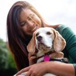 The Benefits of Adopting a Senior Pet vs. a Puppy or Kitten