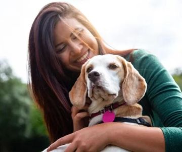 The Benefits of Adopting a Senior Pet vs. a Puppy or Kitten