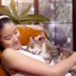 Why Does My Cat Lay on My Chest? Signs of Affection and Comfort