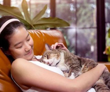 Why Does My Cat Lay on My Chest? Signs of Affection and Comfort