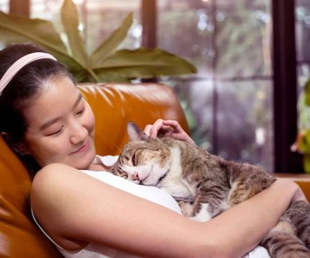 Why Does My Cat Lay on My Chest? Signs of Affection and Comfort