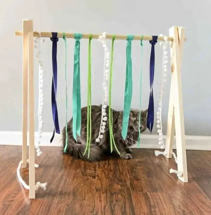 The Best DIY Cat Toys You Can Make in 5 Minutes