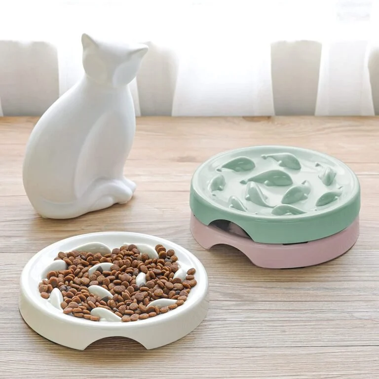 The Best Slow Feeder Bowls for Cats That Eat Too Fast - Top Picks for 2025