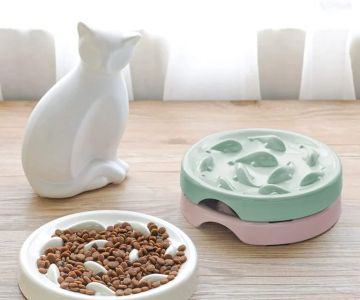 The Best Slow Feeder Bowls for Cats That Eat Too Fast - Top Picks for 2025