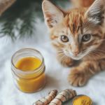 Understanding Kitten Deworming Schedules: A Complete Guide