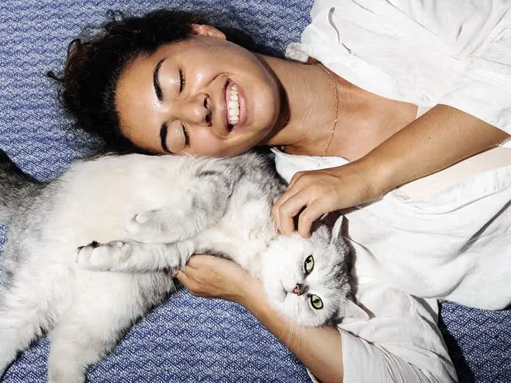 Why Do Kittens Have a Strong Preference for Certain People? | Understanding Kitten Behavior