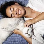 Why Do Kittens Have a Strong Preference for Certain People? | Understanding Kitten Behavior