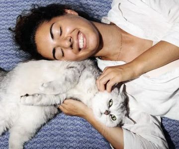 Why Do Kittens Have a Strong Preference for Certain People? | Understanding Kitten Behavior