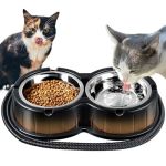 The Best Heated Water Bowls for Outdoor Cats in Winter