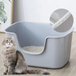 The Best Litter Box for a Kitten with High Sides