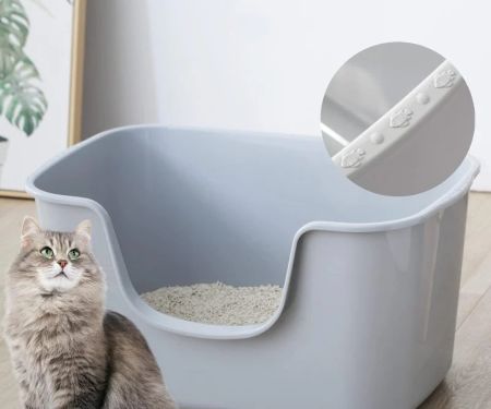The Best Litter Box for a Kitten with High Sides