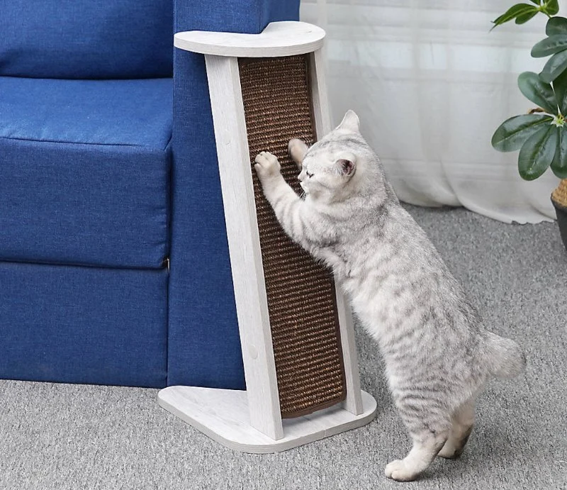 Best Scratching Posts for Small Kittens | Omnia Pet