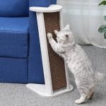 Best Scratching Posts for Small Kittens | Omnia Pet