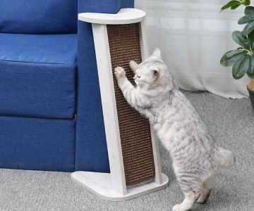 Best Scratching Posts for Small Kittens | Omnia Pet