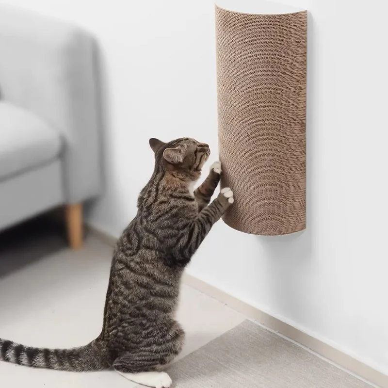 How to Stop a Kitten from Scratching the Walls: Effective Tips and Solutions