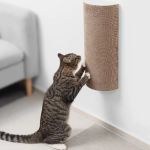 How to Stop a Kitten from Scratching the Walls: Effective Tips and Solutions