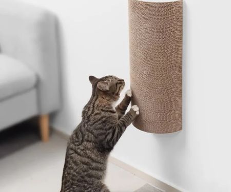 How to Stop a Kitten from Scratching the Walls: Effective Tips and Solutions