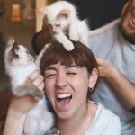 How to Stop Your Kitten from Eating Hair Ties