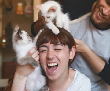 How to Stop Your Kitten from Eating Hair Ties