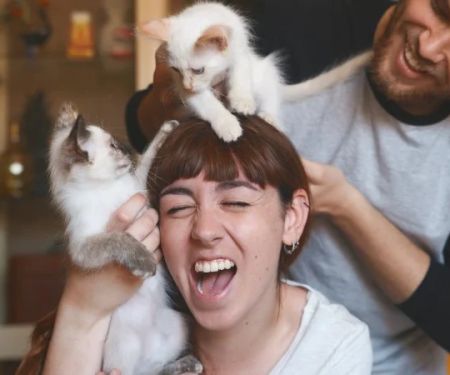 How to Stop Your Kitten from Eating Hair Ties