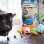 The Best Dental Treats for Cats to Reduce Plaque and Maintain Oral Health