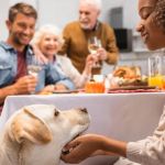 How to Cook Thanksgiving Dinner for Your Dog
