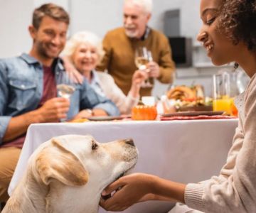 How to Cook Thanksgiving Dinner for Your Dog