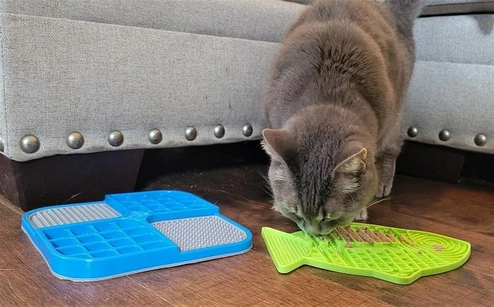 The Best Puzzle Feeders for Cats to Slow Down Eating