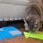 The Best Puzzle Feeders for Cats to Slow Down Eating