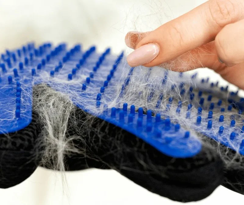 The Best Grooming Glove for a Kitten's Sensitive Skin