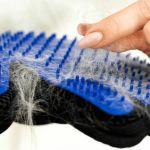 The Best Grooming Glove for a Kitten's Sensitive Skin