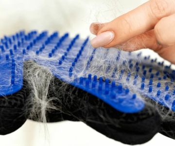 The Best Grooming Glove for a Kitten's Sensitive Skin