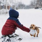 How to Make Pet-Friendly Ice Melt for Your Sidewalk | Omnia Pet