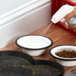 The Best Non-Toxic Cleaning Products for Pet Owners: Safe & Effective Choices