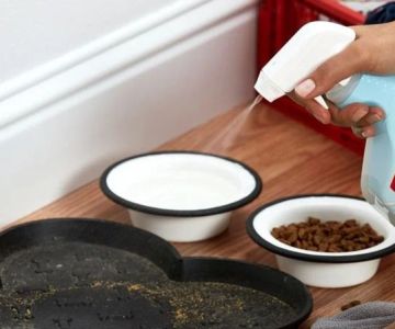 The Best Non-Toxic Cleaning Products for Pet Owners: Safe & Effective Choices