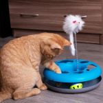 The Best Interactive Toys for a Single Kitten's Development