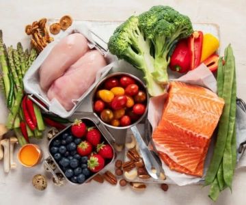 The Best High-Protein, Low-Carb Diets for Obligate Carnivores | Omnia Pet