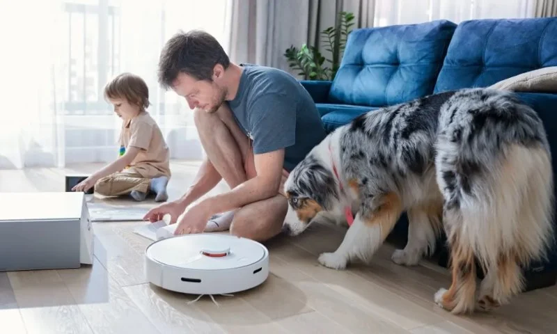 How to Keep Your House from Smelling Like Pets