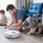 How to Keep Your House from Smelling Like Pets