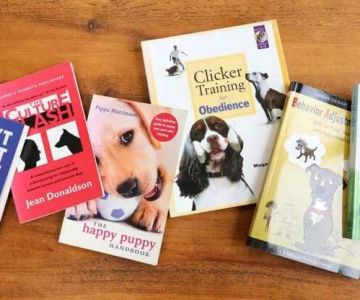 The Best Books Every New Pet Owner Should Read