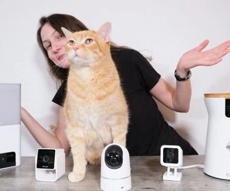 The Best Pet Cameras with Laser Toys for Cats