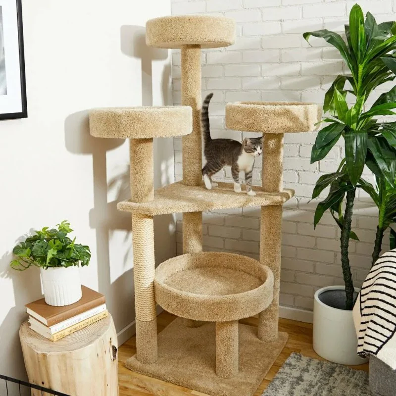 The Best Cat Tree for a Kitten's Agility Training | Omnia Pet