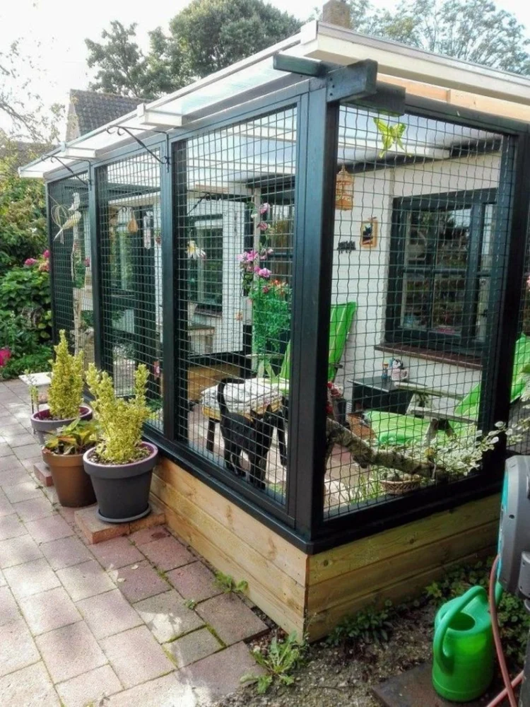 How to Create a Safe Outdoor Enclosure for Your Cat