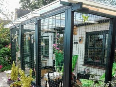 How to Create a Safe Outdoor Enclosure for Your Cat