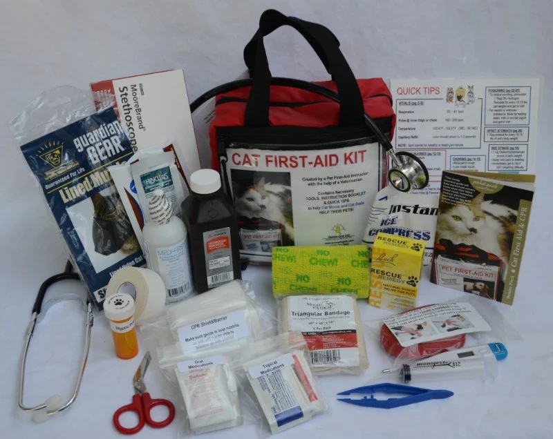 The Best First Aid Kit Items for Kitten Emergencies
