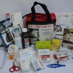 The Best First Aid Kit Items for Kitten Emergencies