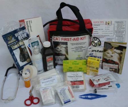 The Best First Aid Kit Items for Kitten Emergencies