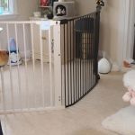 How to Introduce Your Kitten to a New Home with Dogs