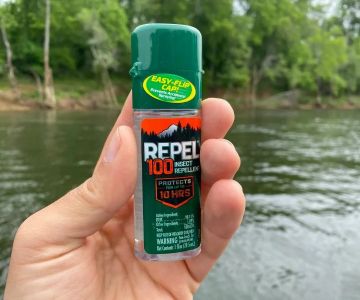 The Best Pet-Safe Mosquito Repellent for Outdoor Kittens